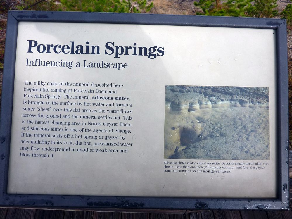 Yellowstone Norris Geyser (131).JPG
